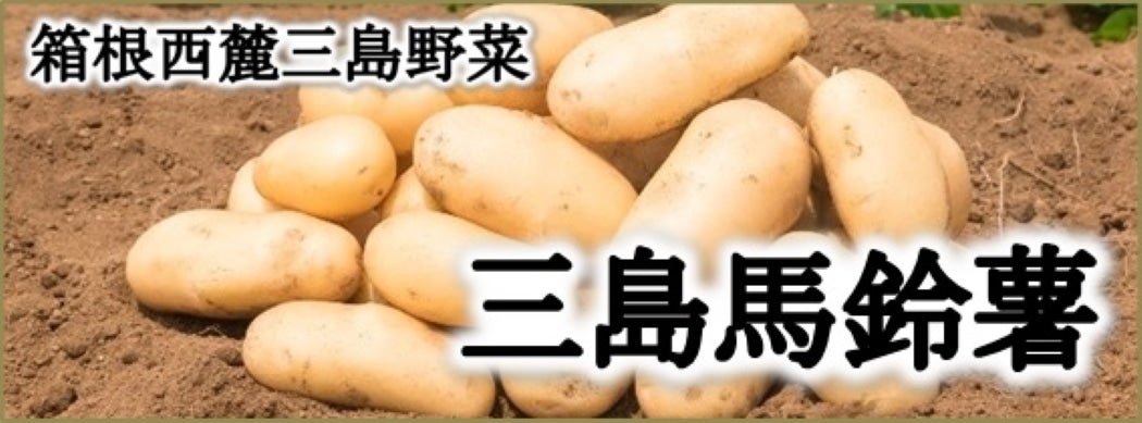 On鏒