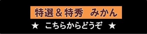 西宇和みかん 特選・特秀みかん