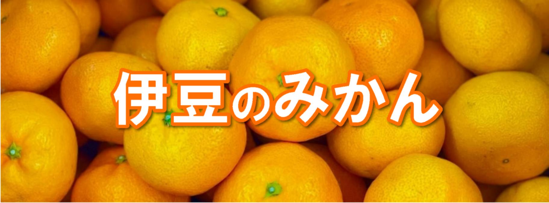 ɓ݂̂