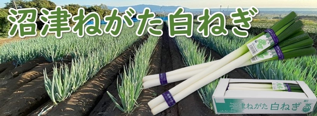 ���Â˂������˂�