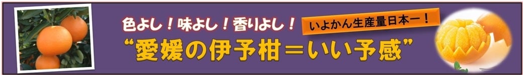Q̂悩񁁂\