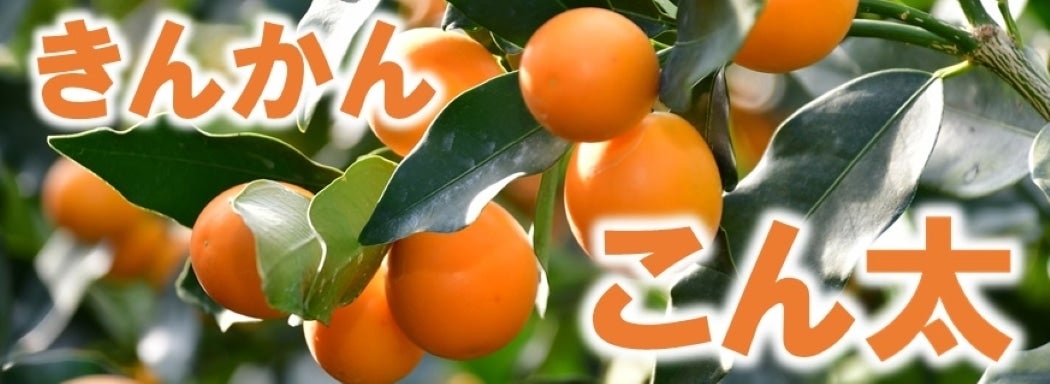 ���񂩂񂱂�