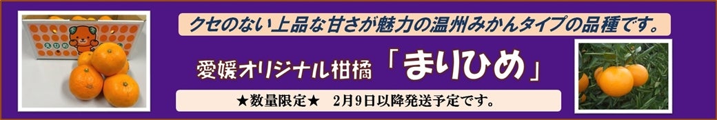 愛媛オリジナル品種「まりひめ」: