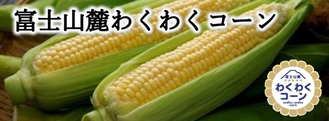 킭킭R[