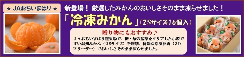 JAおちいまばり「冷凍みかん」販売中です♪