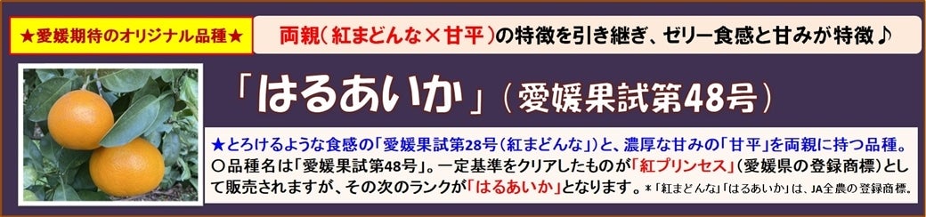 ���Q���҂̃I���W�i���i��u�͂邠�����v