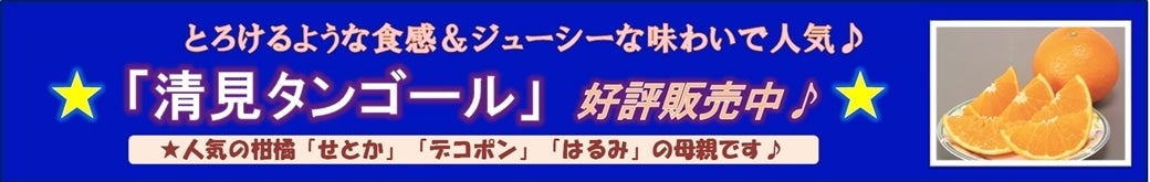 Q̐^S[