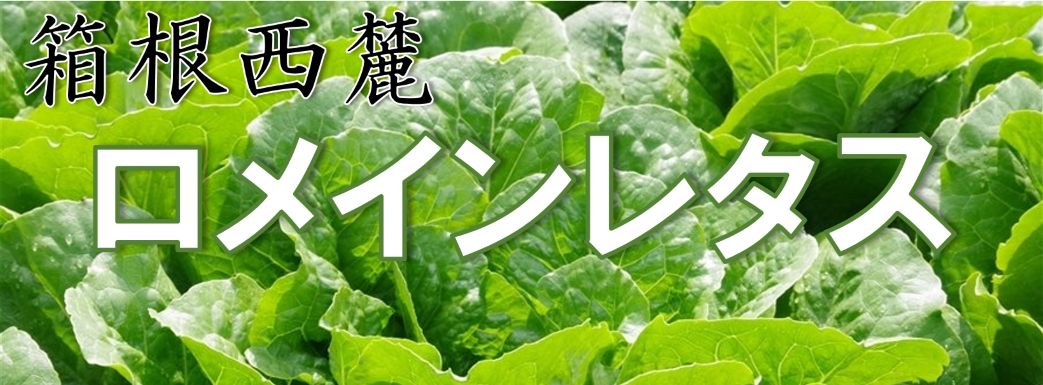 [@C^X