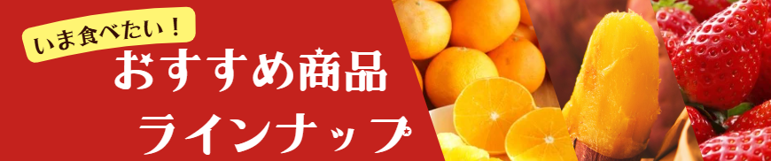 ���ܐH�ׂ����I�������ߏ��i