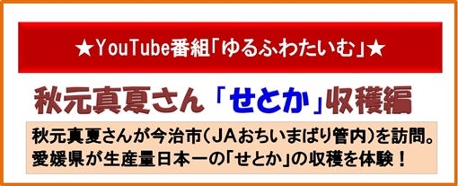 ���ӂ킽���ށ`�����s�E���Ƃ����n��