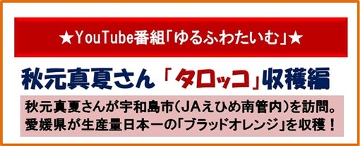 �u���ӂ킽���ށv�u���b�h�I�����W�I�����W��