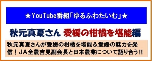 �����ӂ킽���އC�i���Q�̊��k���\�ҁj