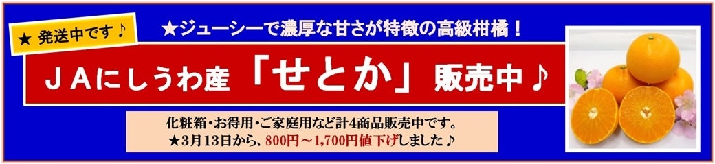 �i�`�ɂ�����̂��Ƃ��̔����ł���@��4���i�Ƃ��l�������܂�����