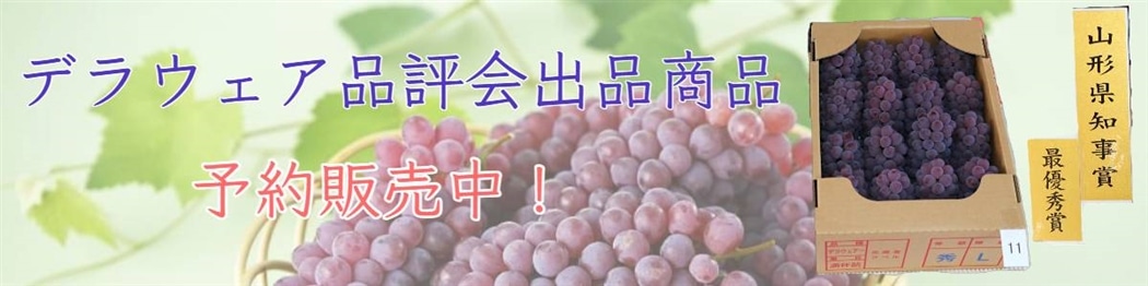 �f���E�F�A�i�]��i�\��̔����I