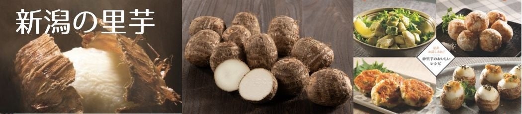 �V���̗���