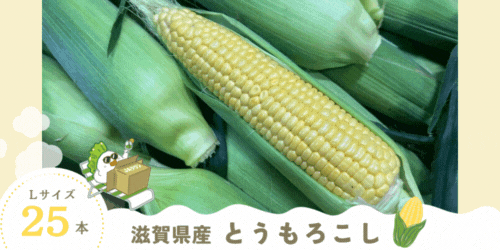 Ƃ낱