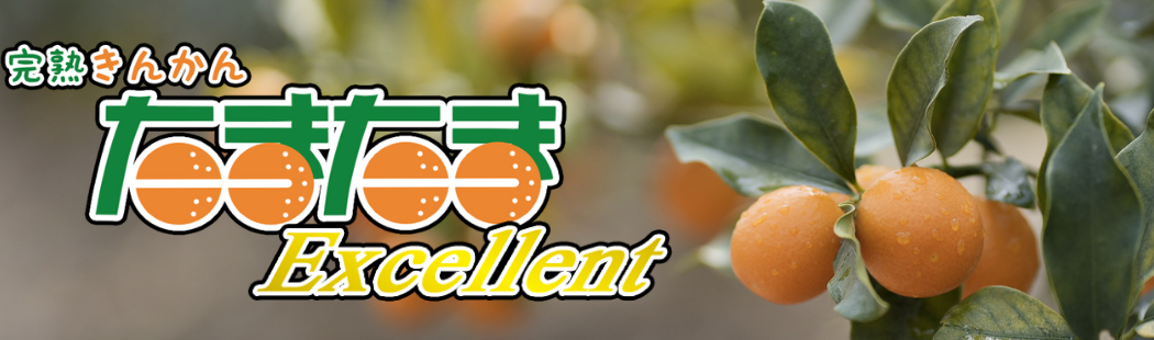 �{�茧�@�����Y�@���񂩂�