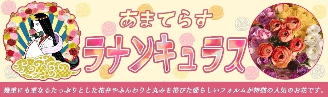 �����Y�@���i���L�����X