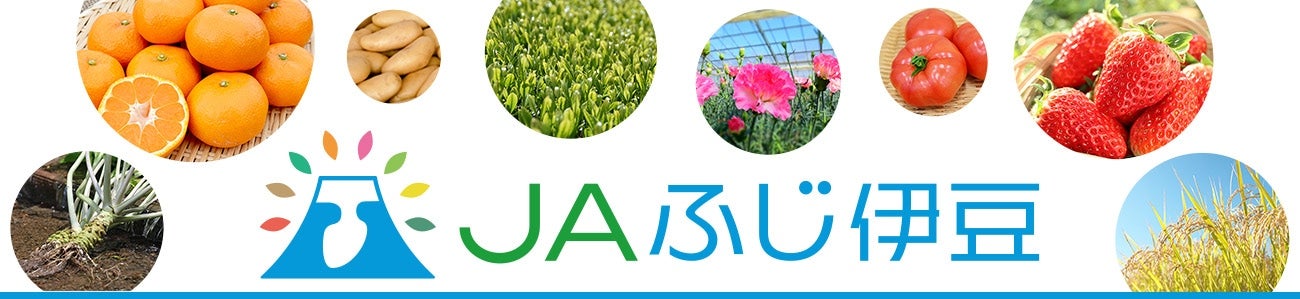 JA�ӂ��ɓ����������W