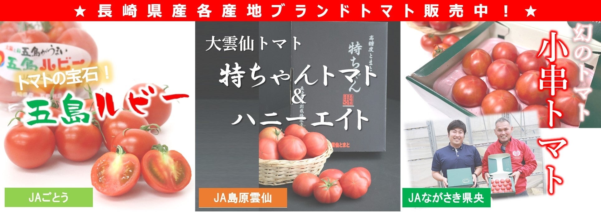 茧Yg}g̔