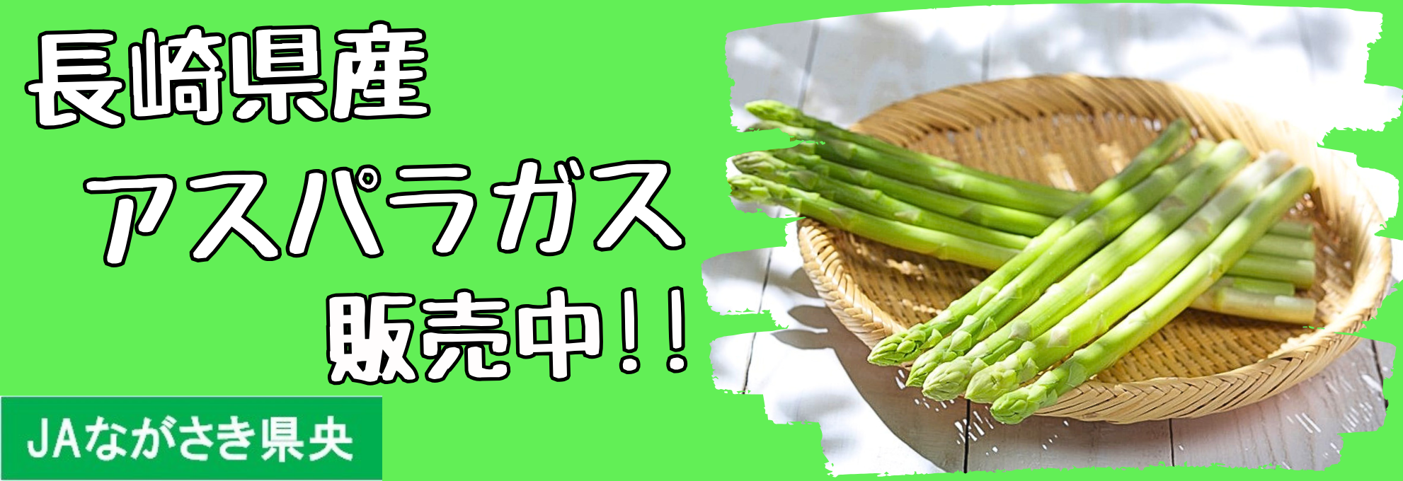 ăAXpKX̔I