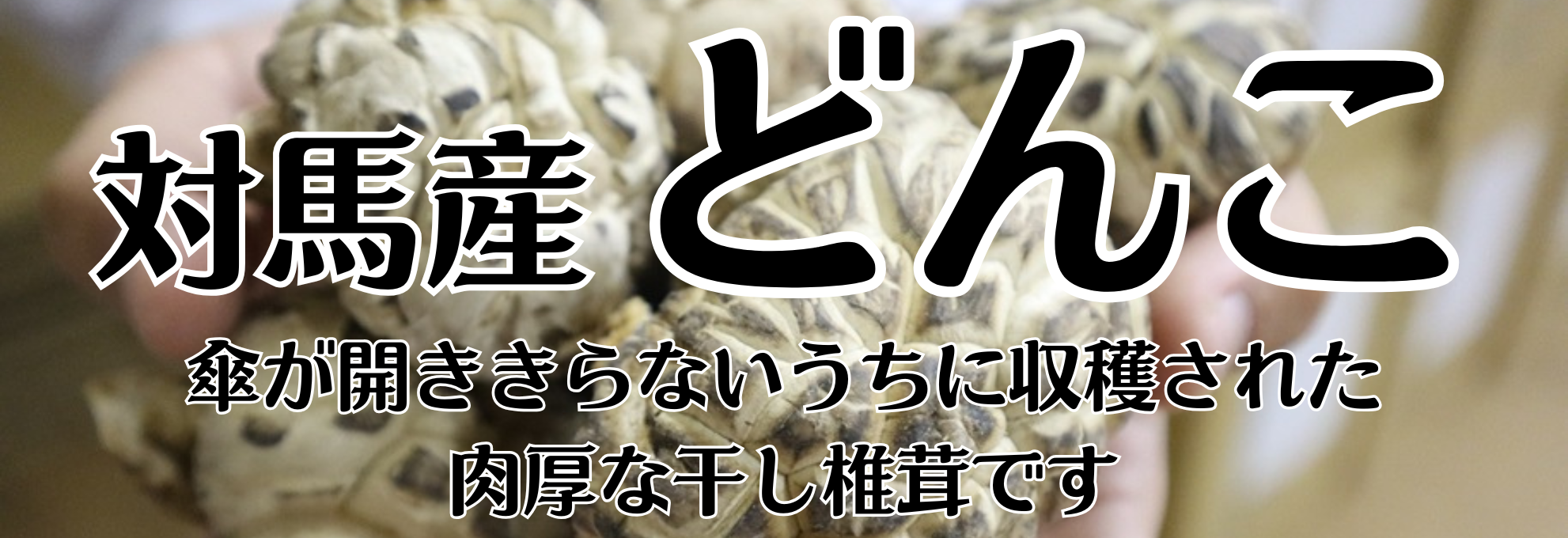 ǂ