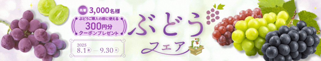ԂǂtFA