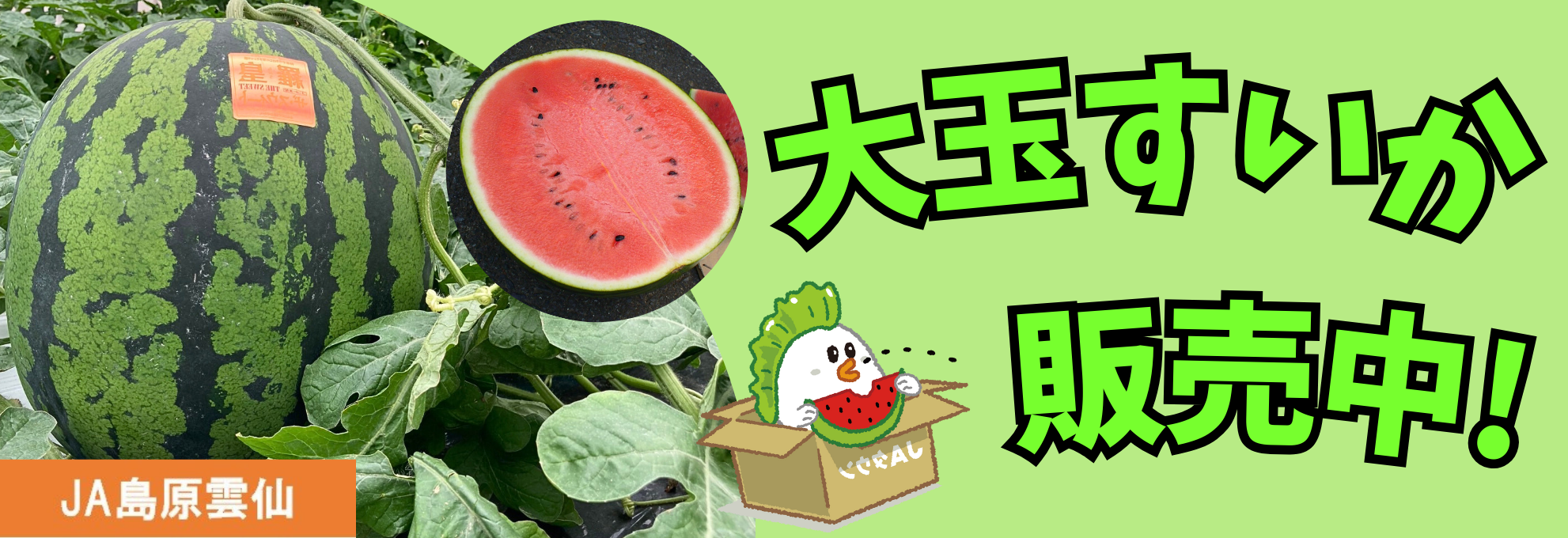ʂ̔I