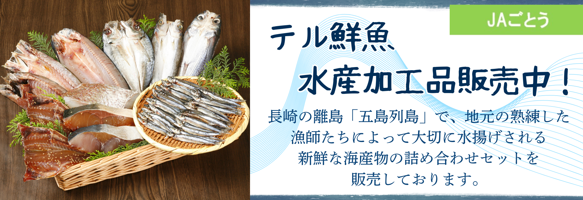 テル鮮魚 商品一覧(JAごとう)