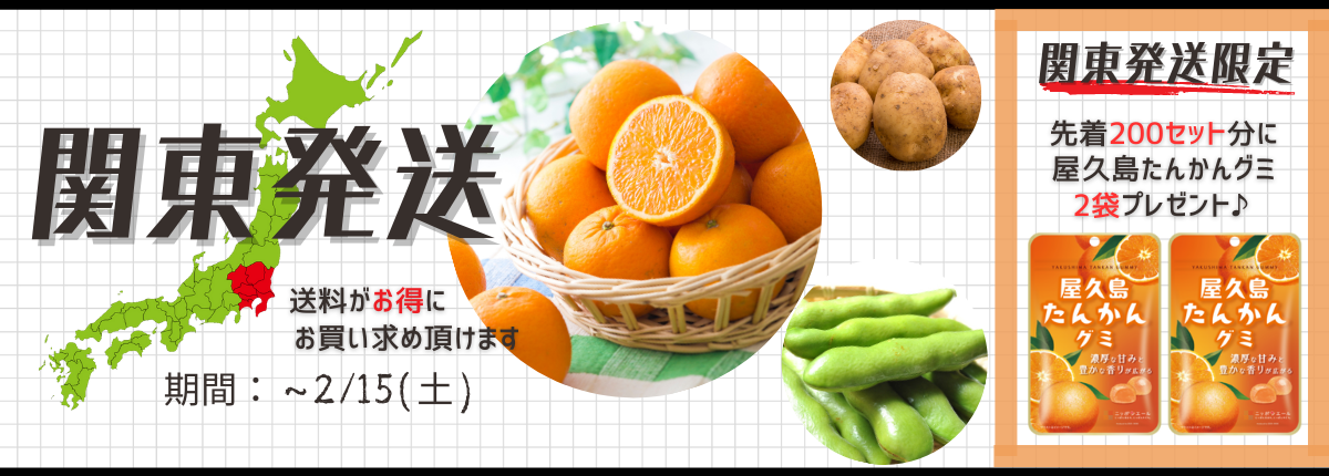 �֓���蔭�����i����!���v�����񂩂�O�~2�܃v���[���g!