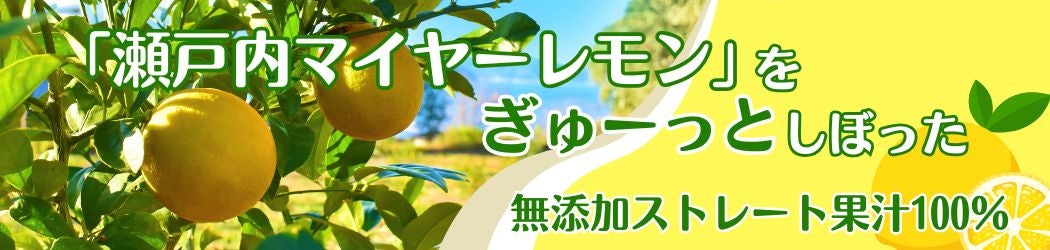 �u���˓��}�C���[�������v������[���Ƃ��ڂ������Y���X�g���[�g�ʏ`100���I�I