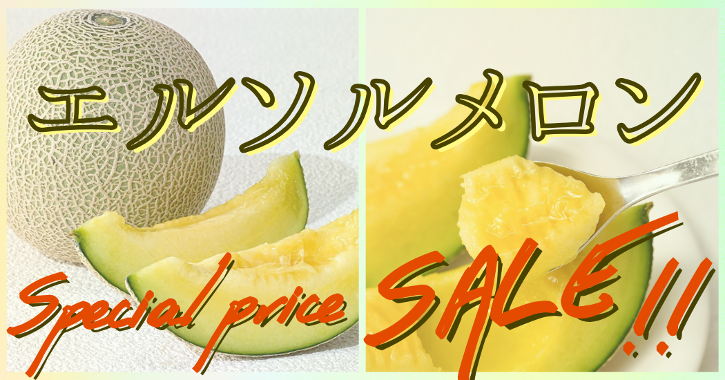 ��錧�Y�G���\�������������Z�[���I