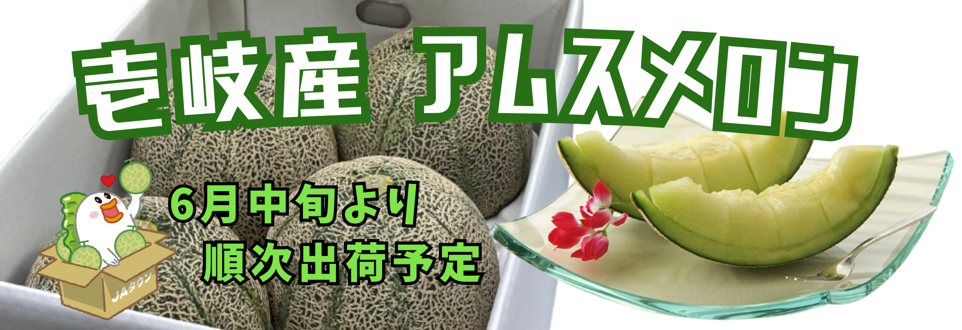���Y �A���X�������\��̔���t���I