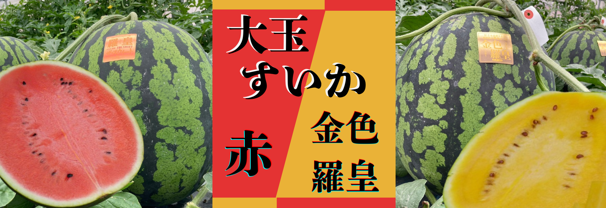 ��ʂ������\��̔����I