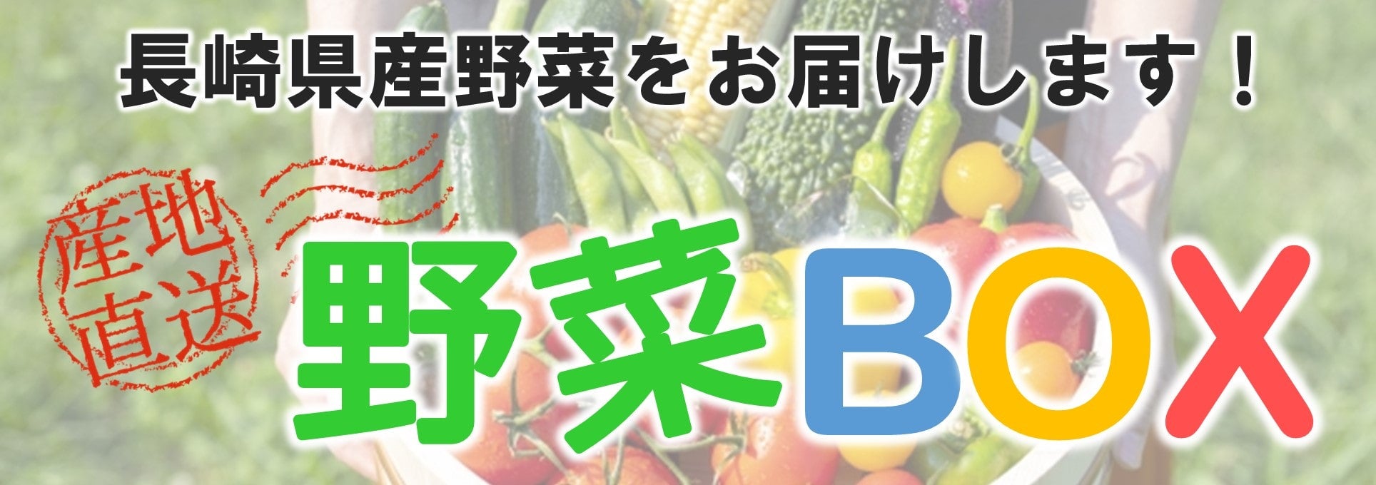 茧YuBOXvI̔I