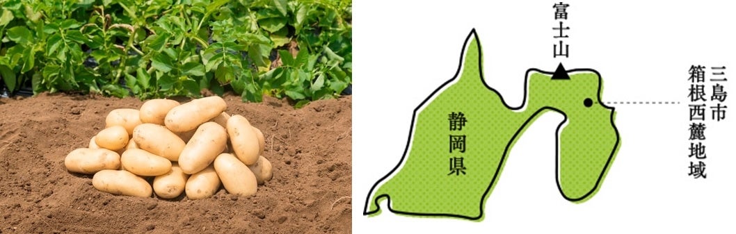 On鏒
