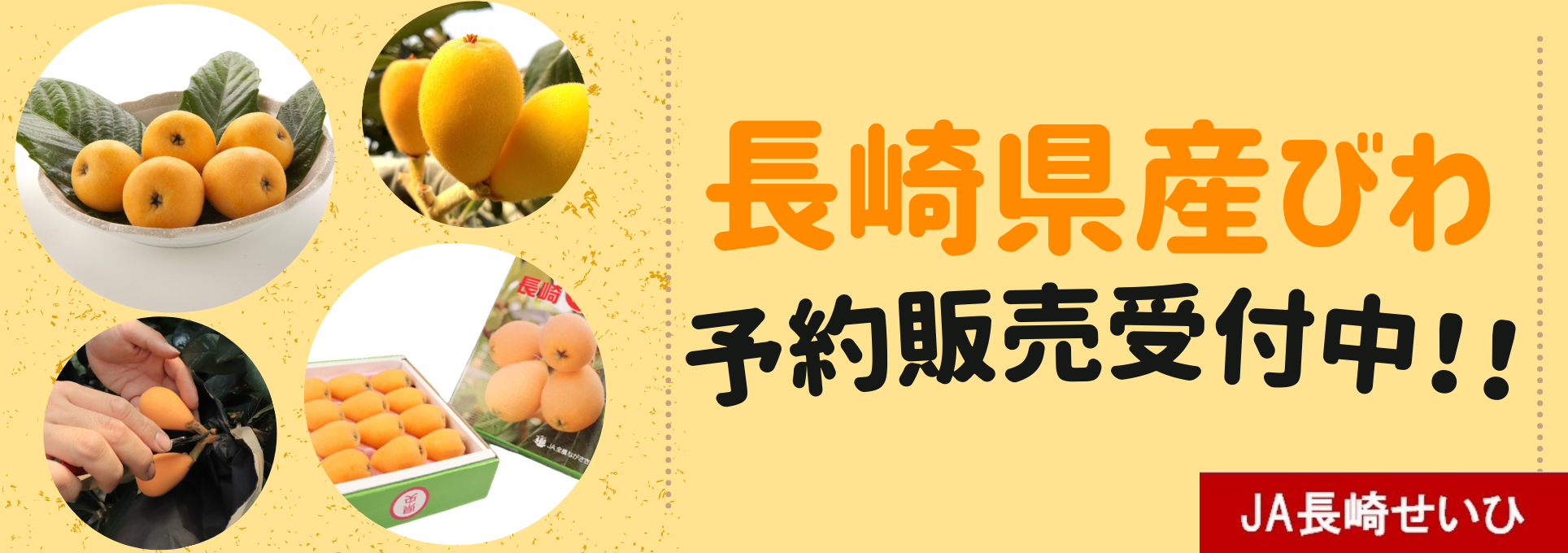 ���茧�Y�т�\��̔���t��!!