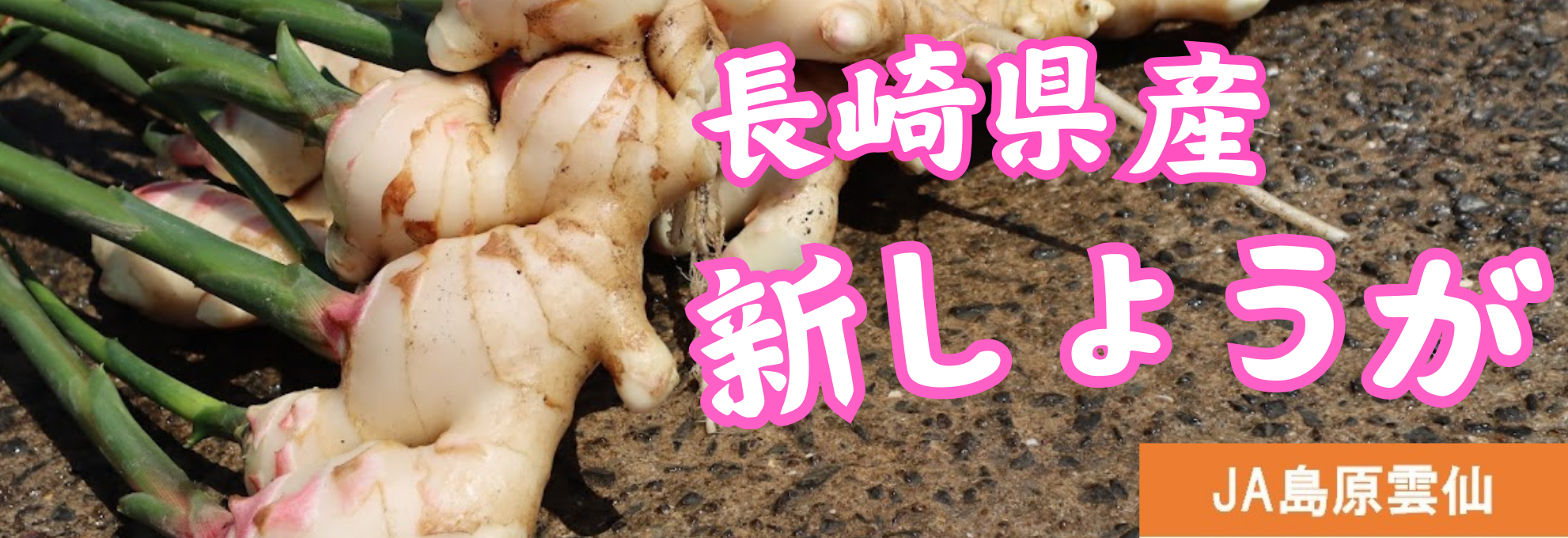 茧YV傤̔