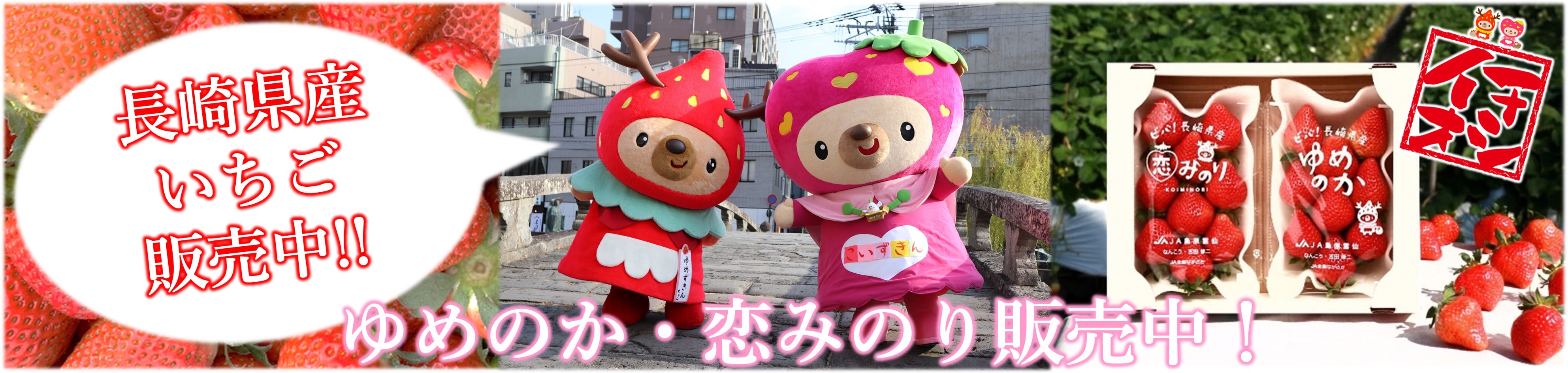 ���肢�����\��̔���t���I