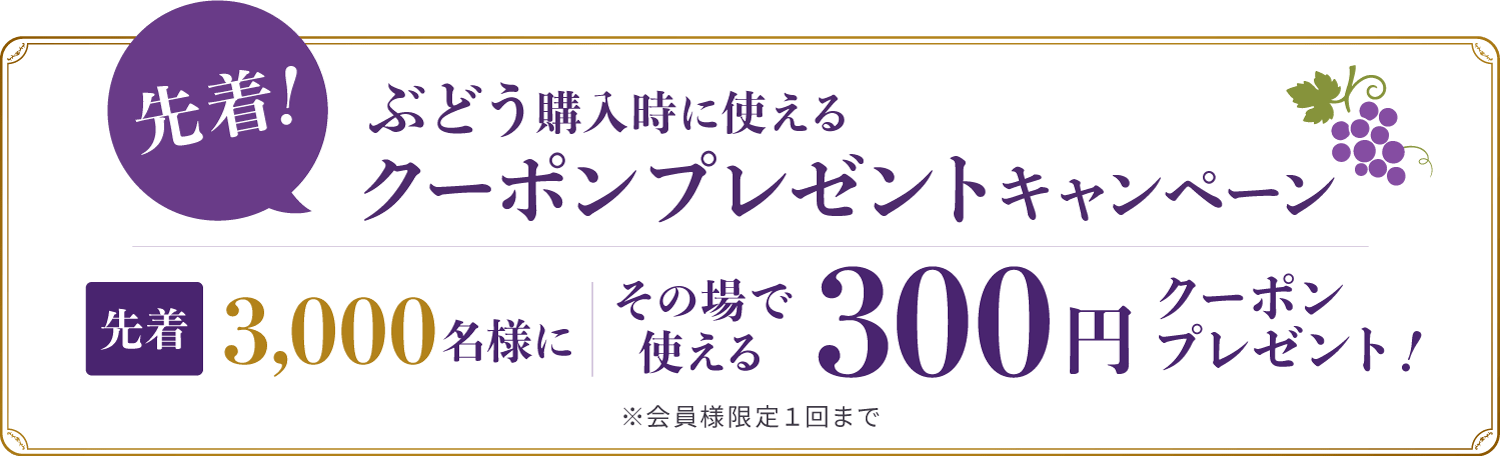 �撅�I�Ԃǂ��w�����Ɏg����N�[�|���v���[���g�L�����y�[���I3000���l�ɂ��̏�Ŏg����300�~�N�[�|���v���[���g