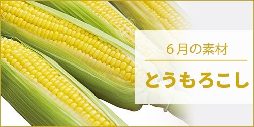 6̑fށwƂ낱x