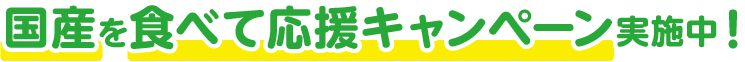国産を食べて応援キャンペーン実施中