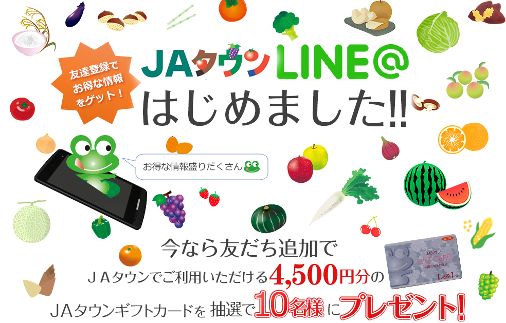 産地直送 通販 お取り寄せ jaタウン 産地直送 通販 お取り寄せ jaタウン
