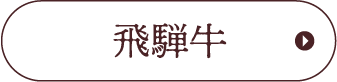 ˋ