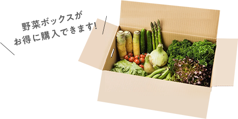 産地直送 通販 お取り寄せ 8月31日は野菜の日 Jaタウン 野菜の日キャンペーン ｊａタウン