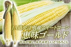 JA道央　江別産 スイートコーン恵味ゴールド 2L 26本入 《 8月中旬〜発送開始》