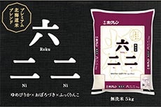 令和4年産 北海道米六二二 5kg×4袋　無洗米