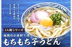 ＪＡ麺シリーズ　もちもち子うどん　(1袋)