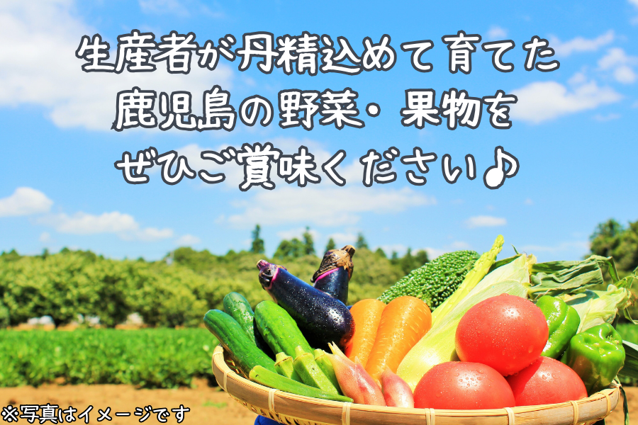 ǂs^Y {̖؁Eʕl@Ri