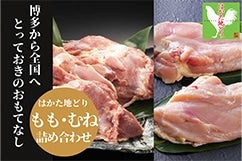 ͂nǂ菤iꗗ